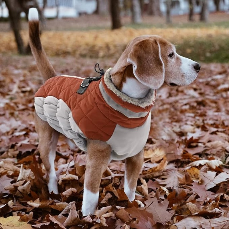Dog Coat Warm Dog Winter Coat Waterproof Dogs Jacket with Harness Built in Reflective Pet Fleece Vest Zip-Up Cold Weather Coats for Large Dogs Turtleneck & Windproof Coats Boston